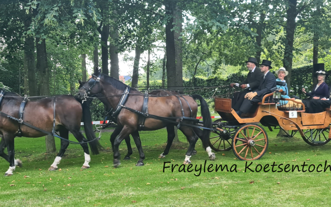 Koetsen en rijtuigen worden opgepoetst voor de Fraeylema Koetsentocht! Mensport