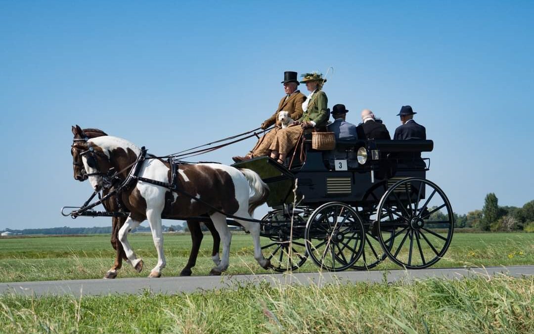 Fraeylema Koetsentocht 2024